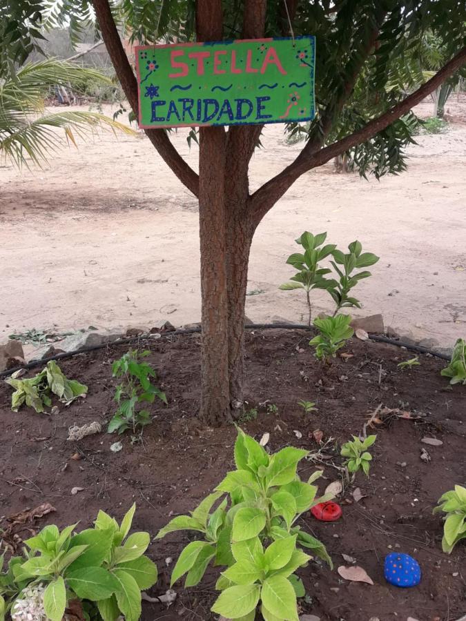 Pilões de Dentro Chale Com Vista Privilegiada מראה חיצוני תמונה